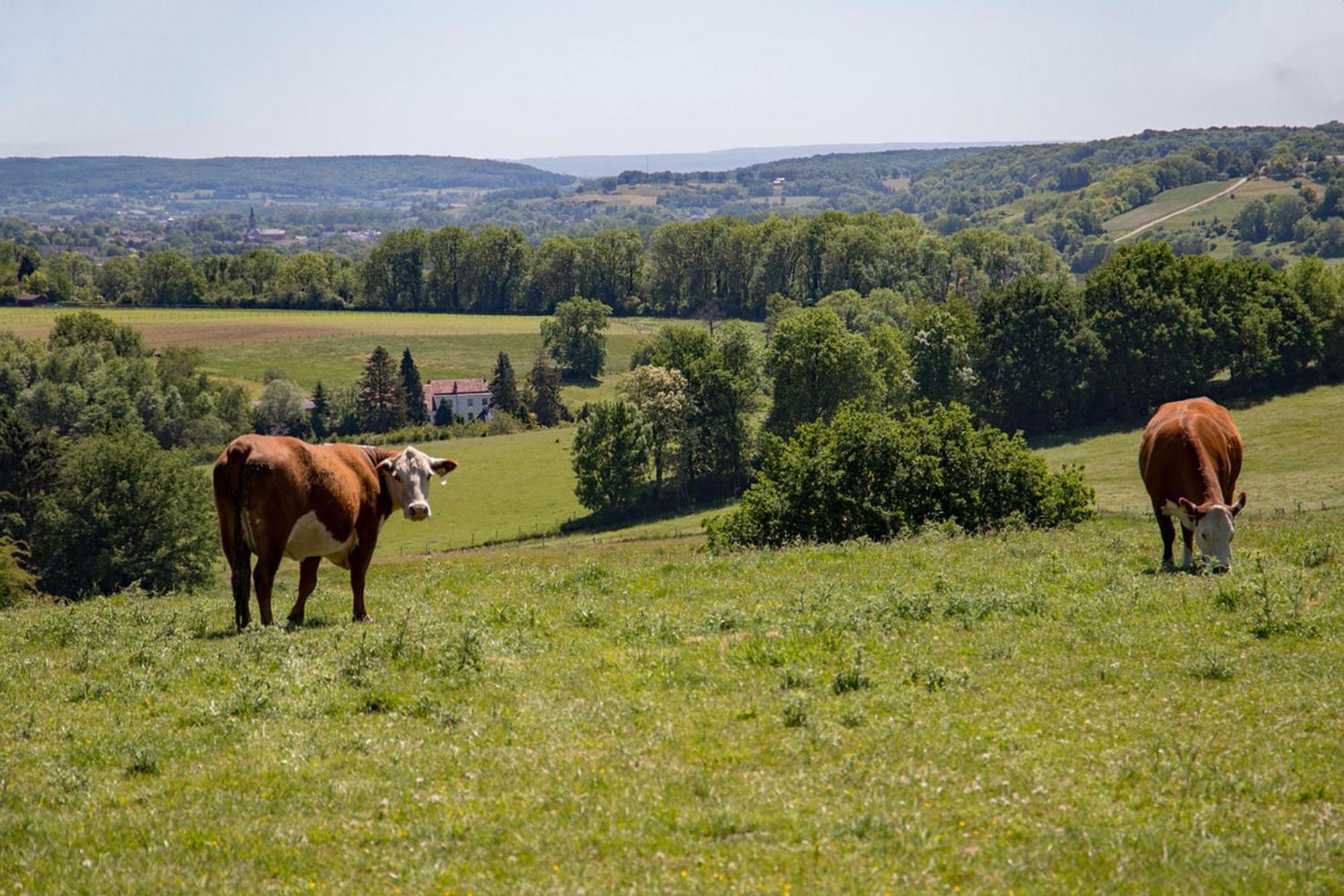Bnb Het Geluk Van Limburg Mechelen Luaran gambar