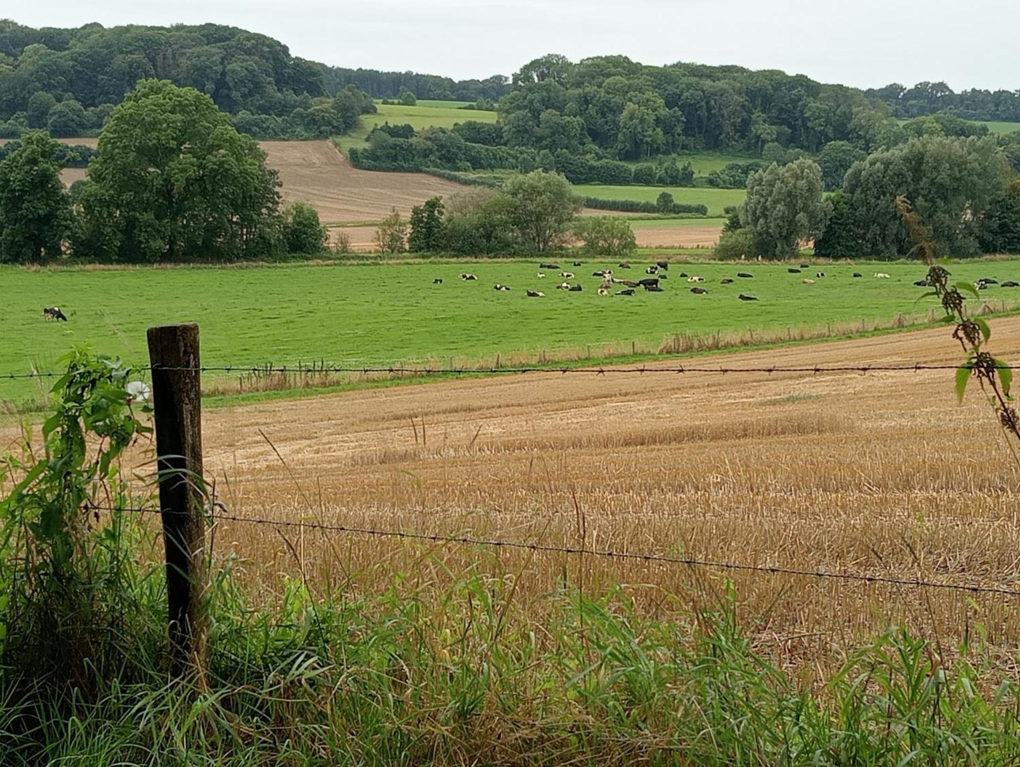 Bnb Het Geluk Van Limburg Mechelen Luaran gambar