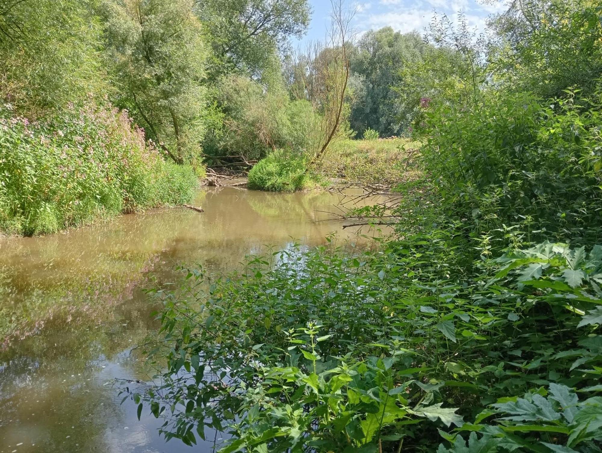 Bnb Het Geluk Van Limburg Mechelen Luaran gambar