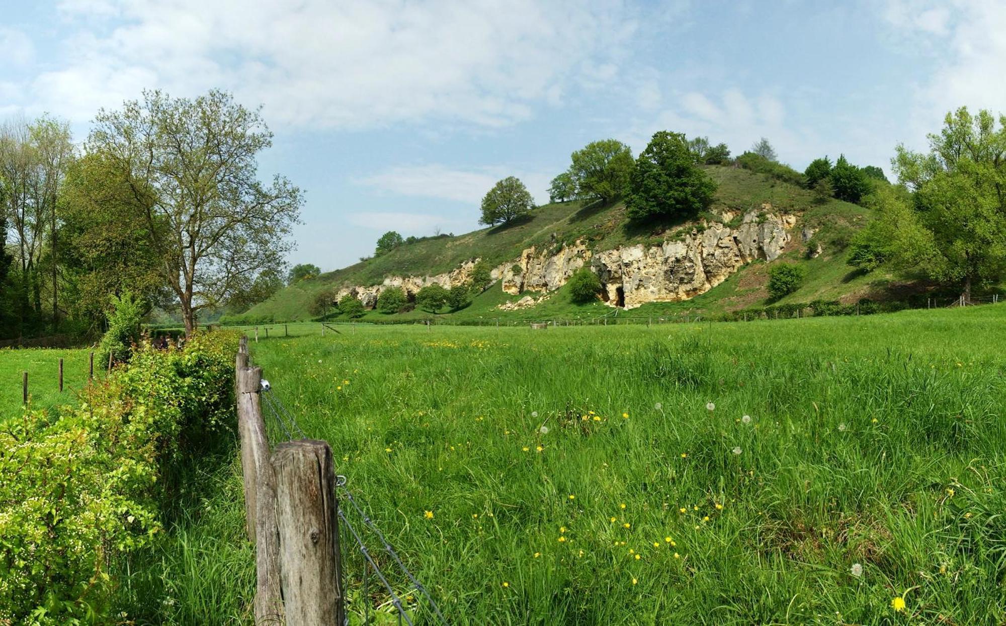 Bnb Het Geluk Van Limburg Mechelen Luaran gambar