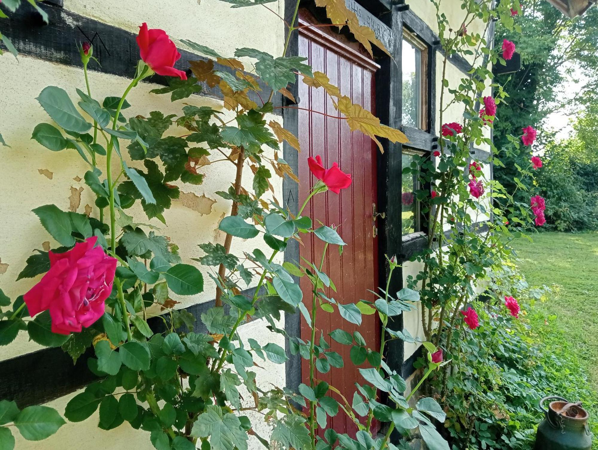 Bnb Het Geluk Van Limburg Mechelen Luaran gambar